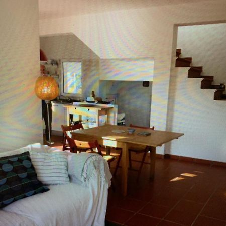 Casa Colina, Walking Distance To Arrifana Beach ألخيزور المظهر الخارجي الصورة